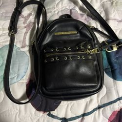 Steve Madden Purse