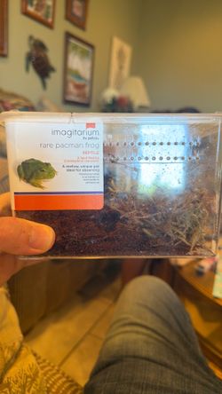 Pac-Man frog