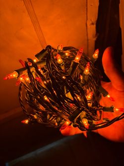 Orange  Halloween String Lights Bulk Lot