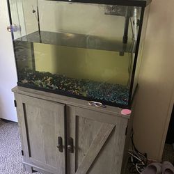 37 Gallon Fish Tank 