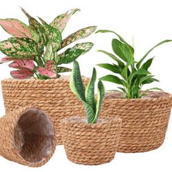 Set of 4 Basket Planters