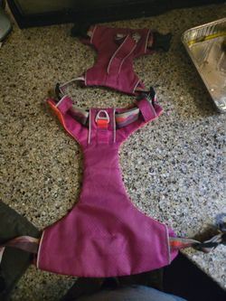 Arcadia Trail Dog Harness