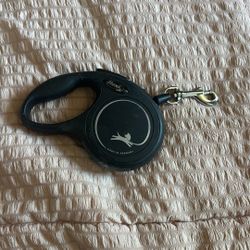 Dog Leash