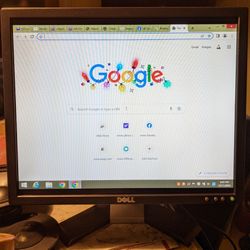 19" Dell LCD Flat Panel PC Computer Monitor 