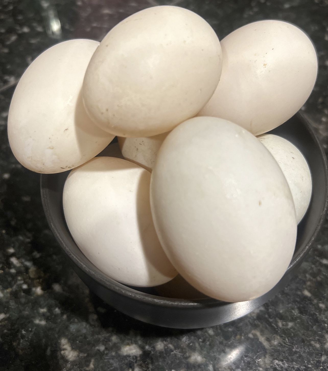 Duck Eggs, Free Range, $8 Dozen 🥚 