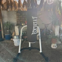 Everlast Powercore Dual Bag and Stand