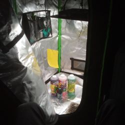 Grow Set Up Indoors 