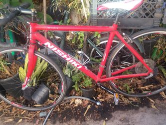Nishiki Maricopa Road Bike Red