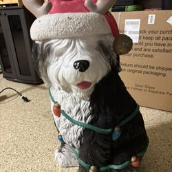 Light Up Christmas Decor Dog