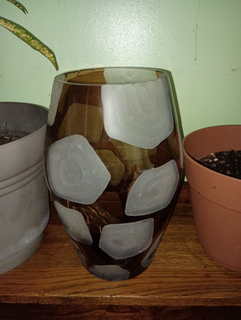 Thick Glass Flower Vase 