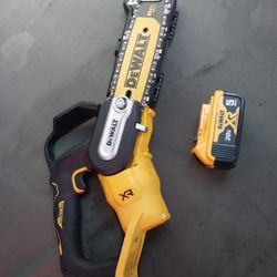 pruning chainsaw pila 5.0 