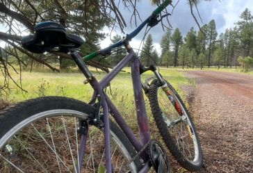 Stolen Mountain Bike