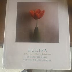 Tulipia A Photographers, Botanical