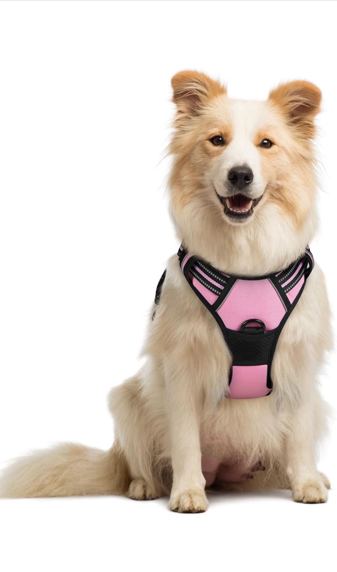 rabbitgoo Dog Harness No Pull with 2 Leash Clips, Adjustable Soft Padded, Reflective Oxford No Choke Pet Vest with Easy Control Handle for Medium Size