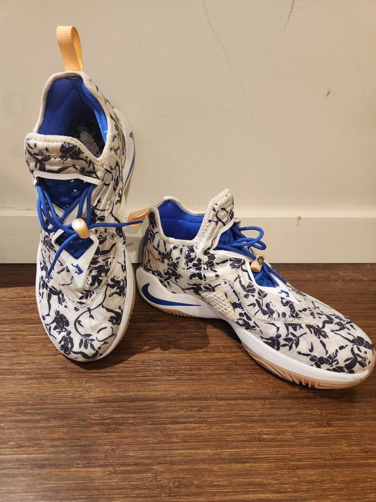 Nike LaBron Soldier XIV "Sisterhood"