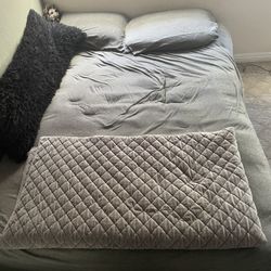 Free Full Size Bed & Box Spring