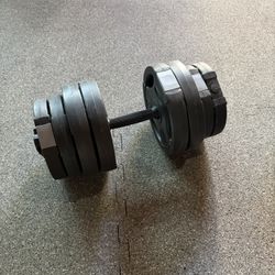 30 Lbs Dumbbell 