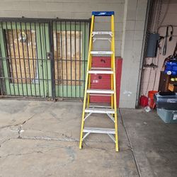 7 Foot Werner Ladder