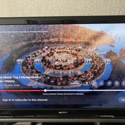 Sony Bravia TV (42 inches)