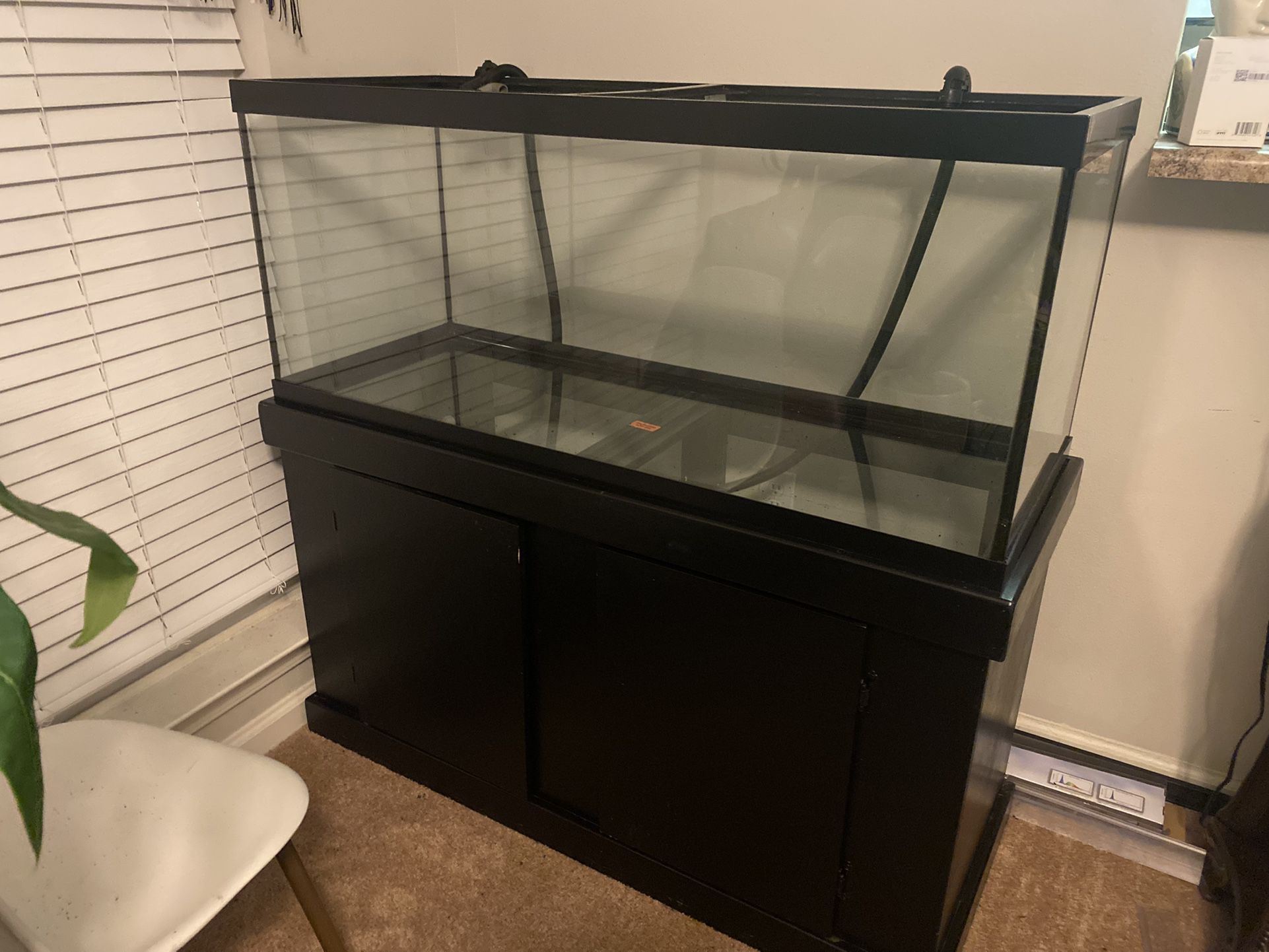 75 Gallon Tank With Full Accessories 