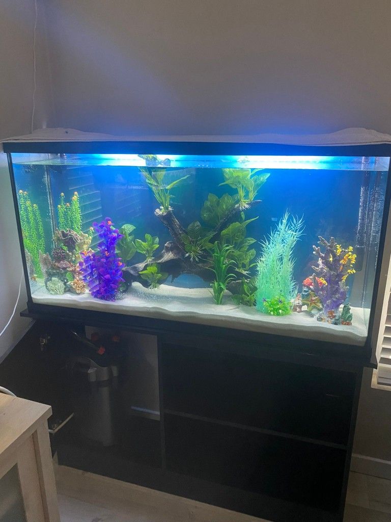 Marineland 60G Aquarium + Marineland 360 Canister Filter