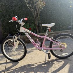 Girls Bike 20”