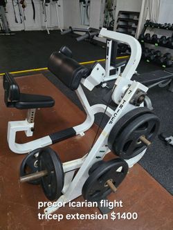 Icarian flight tricep extension plate loaded workout fitness weight machine