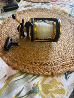 Daiwa Sealine-x 50HV