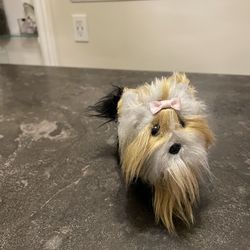 American Girl doll dog