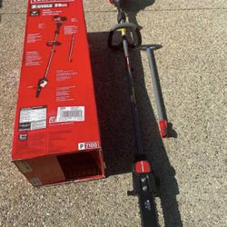 CRAFTSMAN P2100 10-in 25-cc 2-Cycle Gas Pole Saw