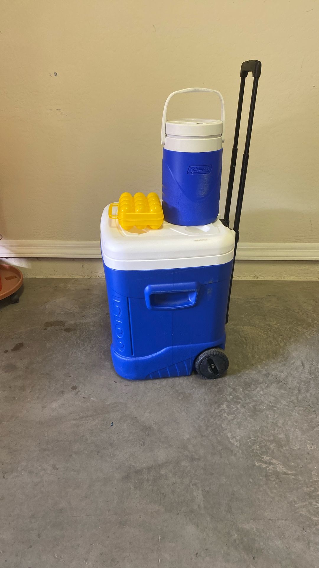 Igloo Cooler, Coleman Thermos And Egg Case