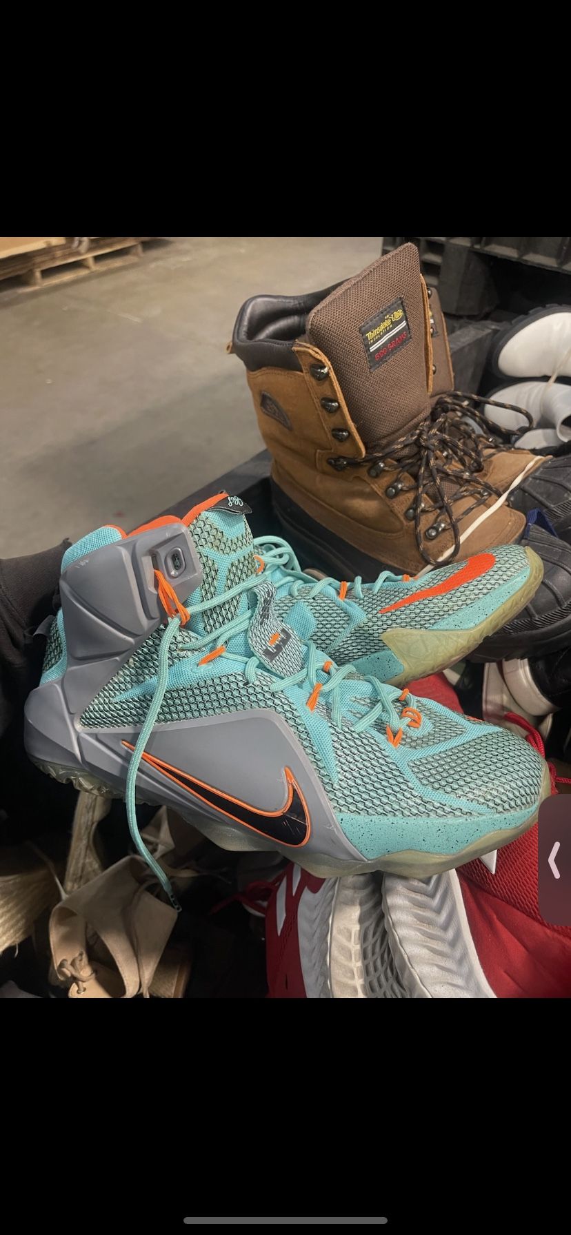Lebron 12 Nsrl