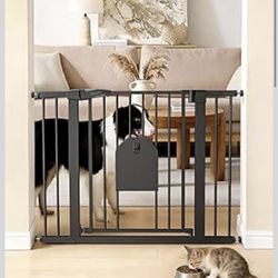 Babelio Auto Close Baby Gate with Cat Door