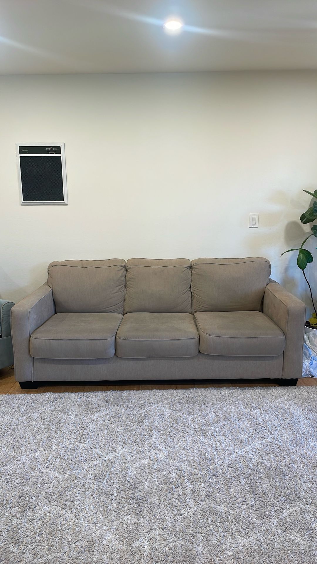 Brown Couch