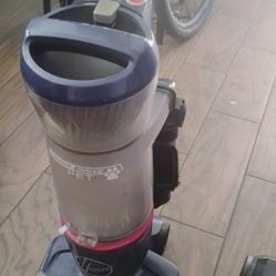 Two Vacuum's