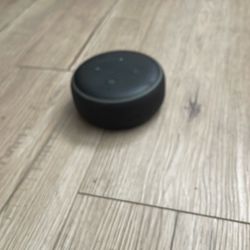 Alexa Amazon
