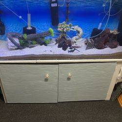 Fish Tank