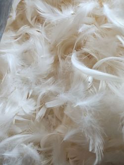 Vintage Loose Goose Down Feathers 1#-9oz. For Filler / Nests / Crafts
