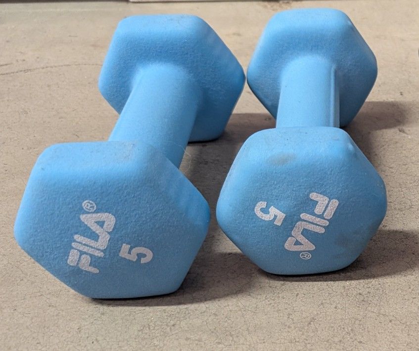 5 Lb Dumbbell Pair