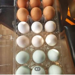 Farm Fresh Eggs 🥚 🪺 