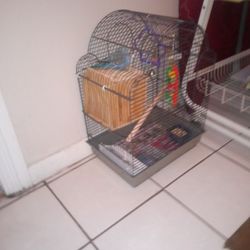 Birdcage