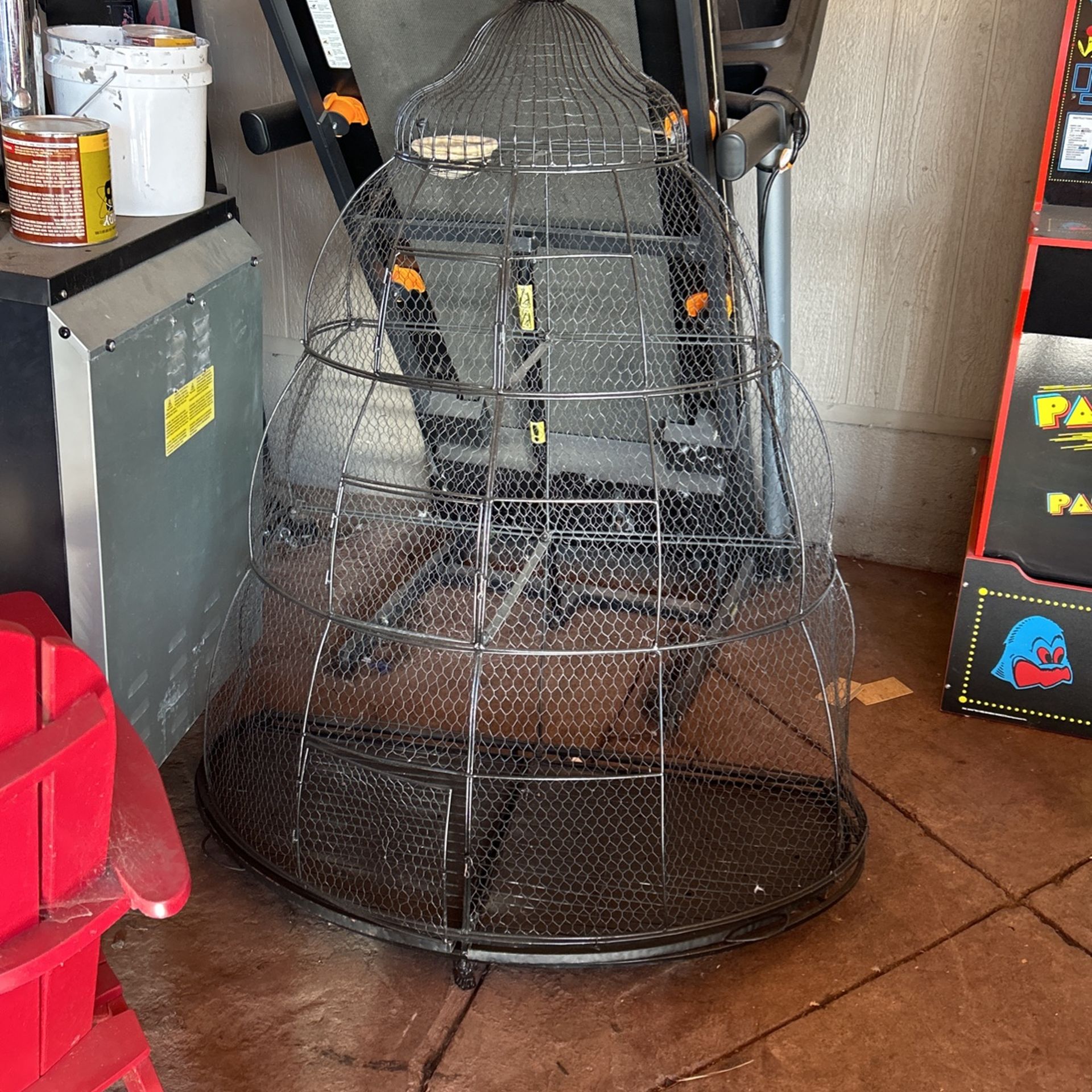 Bird Cage