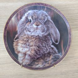 Bunny Tales Collection, by Vivi Crandall, Bradford Exchange Plate, I'm All Ears