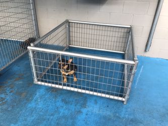 Dog Kennel