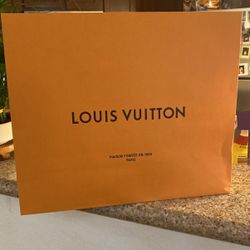 New Louis Vuitton Bag