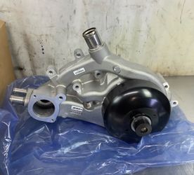 Trailblazer ss water pump