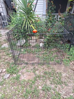Large Dog Cage