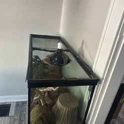 75 gallon enclosure with everything included Femal ball pyth