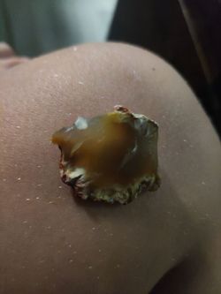 Coolest rock I found hiking