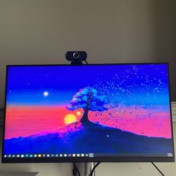 Dual Dell Monitors 